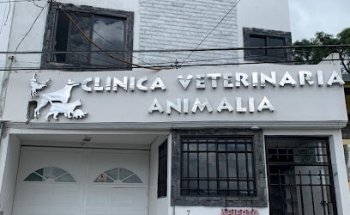 Clínica Veterinaria Animalia