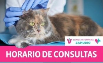 Veterinaria Zamudio