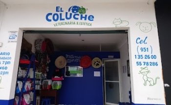 EL COLUCHE, veterinaria & estetica