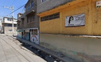 Veterinaria Mi + kota