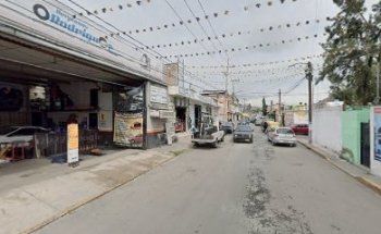 Estética canina & Veterinaria Ferrioni