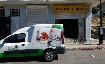 Perros Gatos Y Otros Bichos