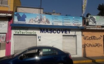 Hospital Veterinario Mascovet