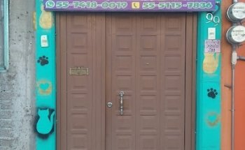 Consultorio veterinario Oriental Zoo