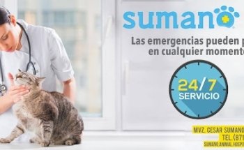 Sumano Animal Hospital - Hospital Veterinario en Torreón - Oftalmólogo Veterinario