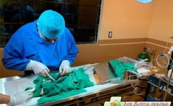 Hospital para Mascotas San Isidro