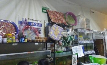 Veterinary Animal World