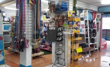 Veterinaria Dog House