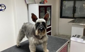 Clínica y Estética Veternaria Monte Ararat