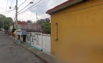 Estética Y Veterinaria 