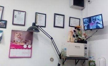 Veterinaria la Kroqueta