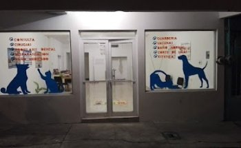 Clínica Veterinaria Salud Animal
