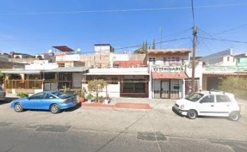 Veterinaria Acuario Axel