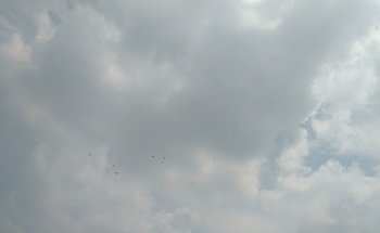 CONSULTORIO VETERINARIO DREIKO