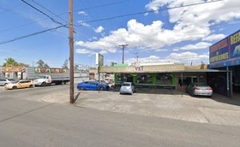 LIMVET - clínica veterinaria y estética canina en Mexicali, Baja California