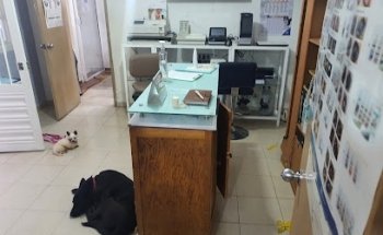 Veterinary Clinic Roms