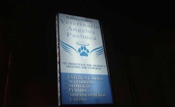 Consultorio Veterinario Ángeles Pachuca