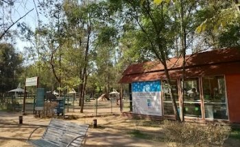 Itzcuintlan clínica veterinaria