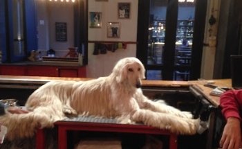 Fundación Somos Su Voz