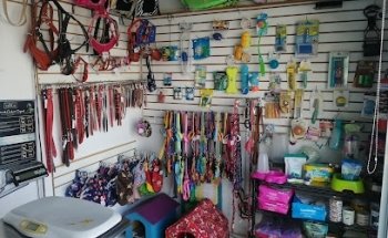 Men Mar Veterinaría