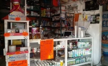 Veterinaria estética canina San Jose