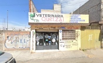 VETERINARIA ALDRI