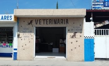 Veterinaria Angeles con Patas