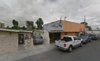 Veterinary Hospital Canine and Feline Aesthetics