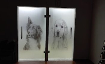 Hospital Veterinario Santa Elena