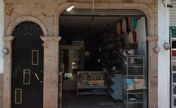 Clínica y Veterinaria Guadalajara