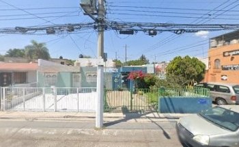 VETERINARIA EL COLLIE