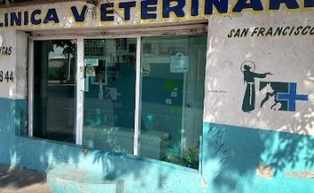 SAN FRANCISCO VETERINARY CLINIC