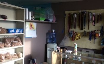 Veterinaria el pastor