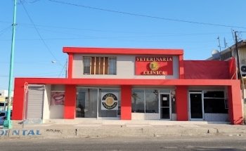 CLÍNICA VETERINARIA 