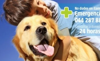Clínica Veterinaria Dr. Villarreal