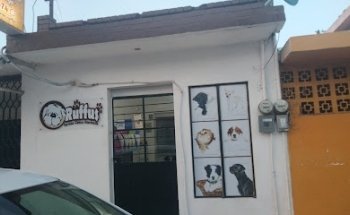 Servicios Clinicos Veterinarios