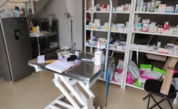 Clinica Veterinaria AmeriVet