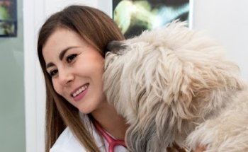 HarryVet Clínica Veterinaria