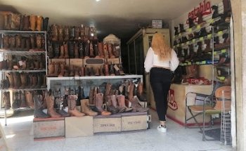 Veterinaria del Establo