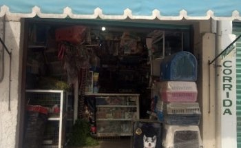 Veterinaria El Gavilán