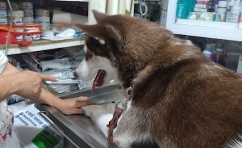 Veterinaria Scooby Doo