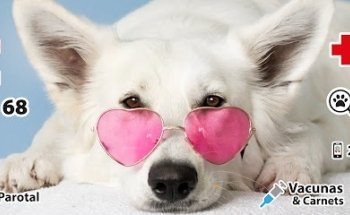 Veterinaria El Parotal