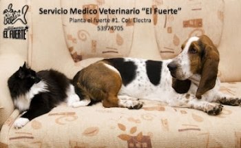 Veterinary Viveros del Valle