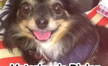 Farmacia y Estetica Vetetinario Bivian