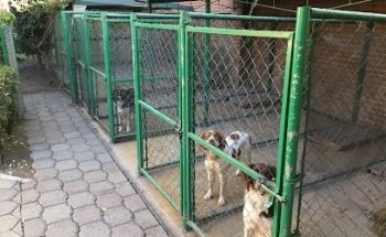 Clínica Veterinaria