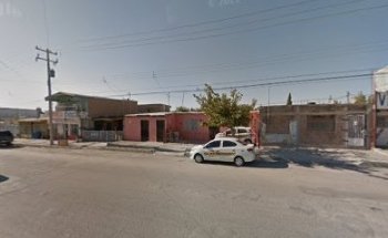 Veterinaria Topogigo