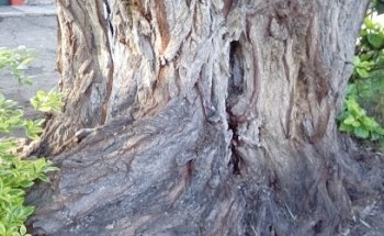 Servicio Int De Comercializacion Seico