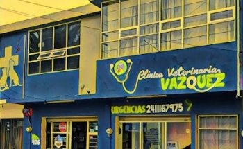 Clínica Veterinaria Vázquez