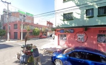 Veterinaria Luz María Cortés