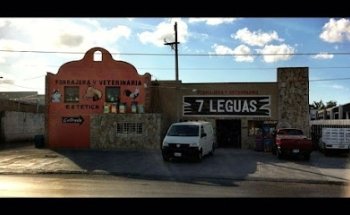 Forrajera y Veterinaria 7 Legua de Seguy SA de CV